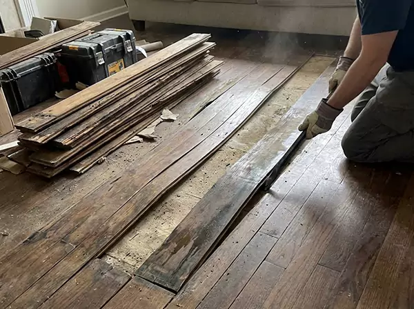Water Damage Drying in Cedartown
