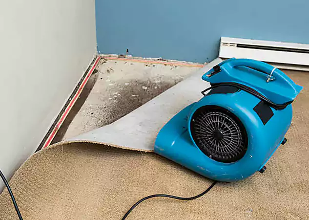 Your Water Damage Experts in Cedartown, GA