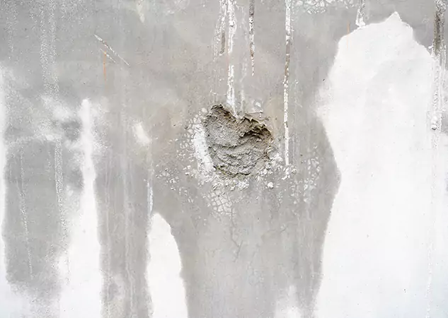 Your Mold Mitigation Solutions Partner in Cedartown, GA