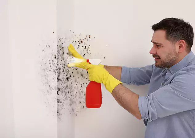 Your Water Mold Fire Restoration Partner in Cedartown, GA