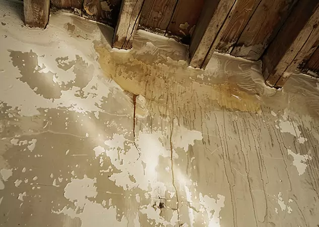 Your Trusted Restoration Company in Cedartown, GA