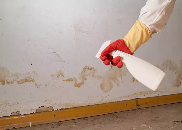 Your Water Restoration and Mold Remediation Specialists in Cedartown, GA