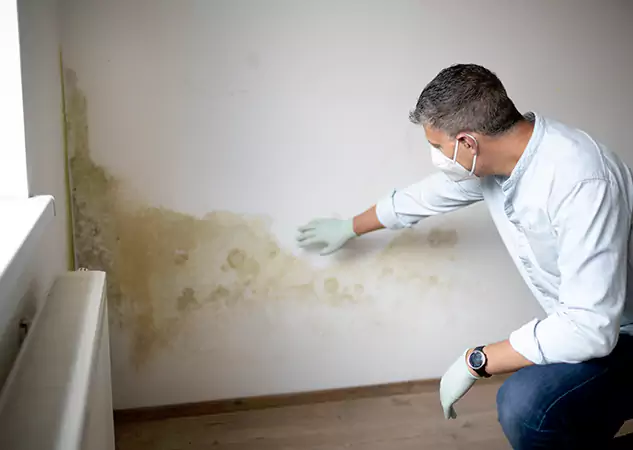 Reach Our Remediation Team Before Damage Grows in Cedartown, GA!