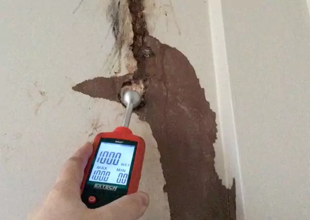 Your Water Damage Assessment Partner in Cedartown, GA