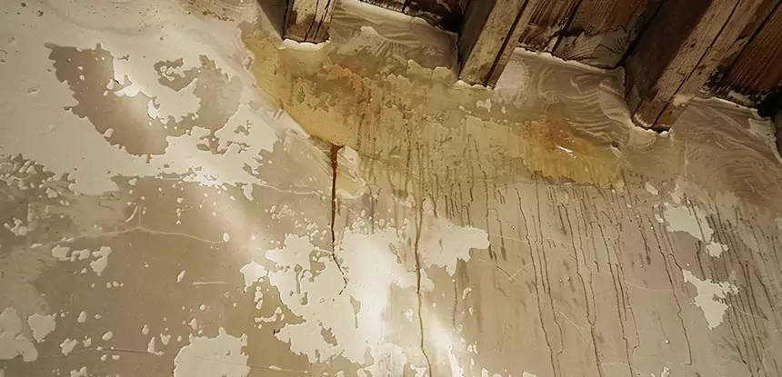 Professional Attic Water Damage Repair Services in Cedartown, GA