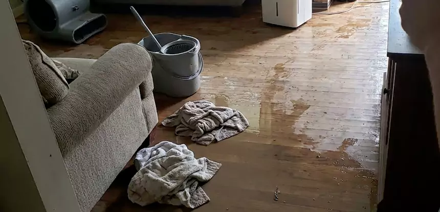 Professional Basement Water Remediation Services in Cedartown, GA