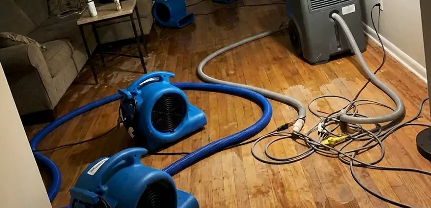 Basement Flood Restoration Services in Cedartown