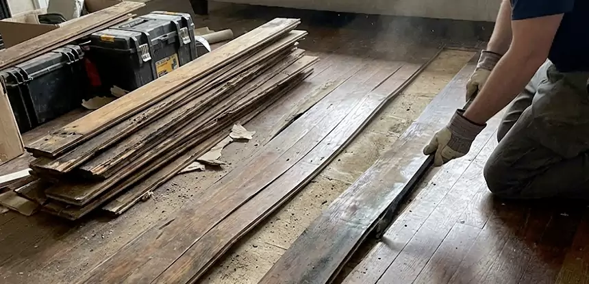 Wood Rot and Fungus Repair in Cedartown