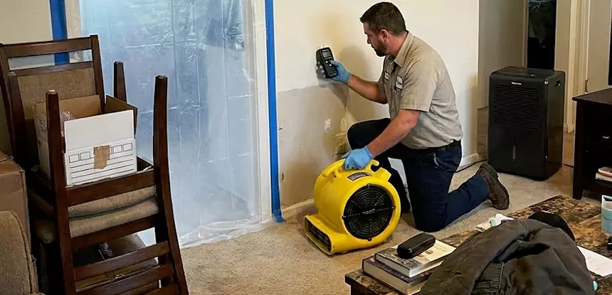 Carpet Water Damage Repair Cedartown