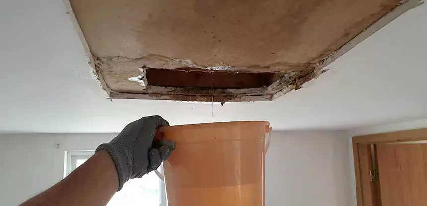 Ceiling Mold Repair Cedartown 