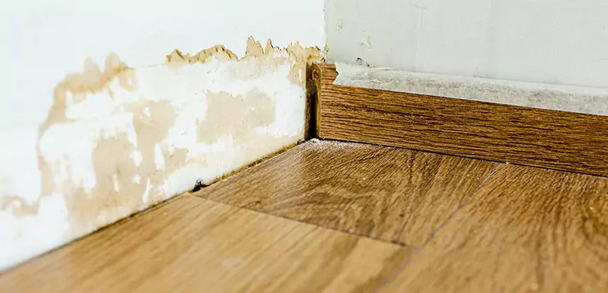 Professional Fix Water Damaged Wood Services in Cedartown, GA