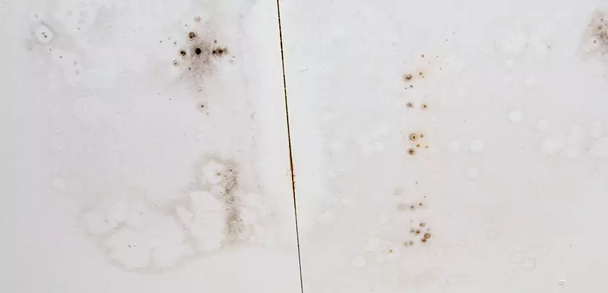 Professional Water Stain Repair Services in Cedartown, GA
