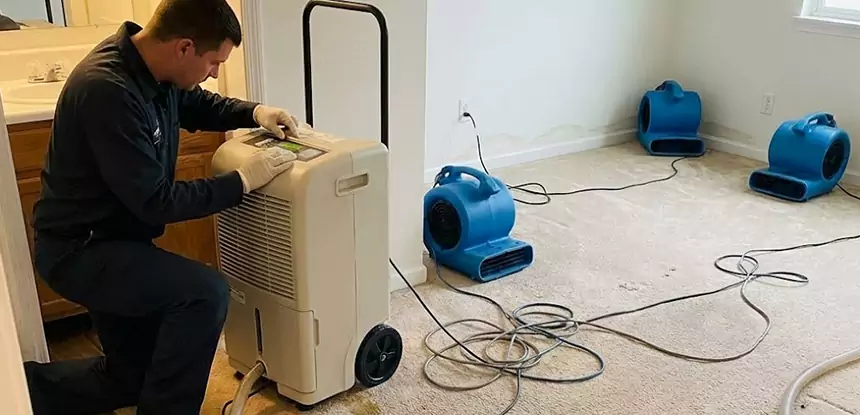 Professional Wet Carpet Removal Services in Cedartown, GA