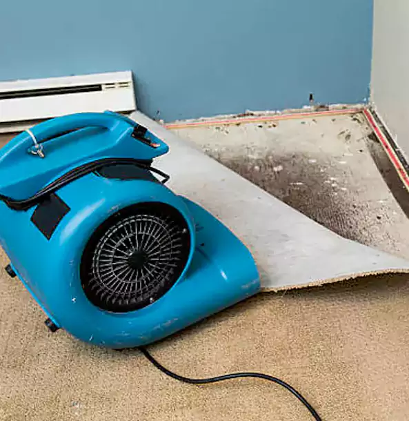 Why Cedartown Trusts Cedartown Restoration Pro for Carpet Flood Recovery?