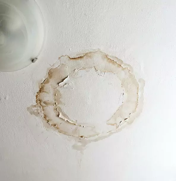 Why Cedartown Property Owners Choose Cedartown Restoration Pro for Ceiling Water Damage Restoration?