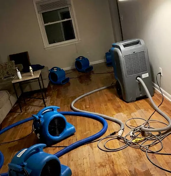 Why Cedartown Calls Cedartown Restoration Pro First for Emergency Restoration?