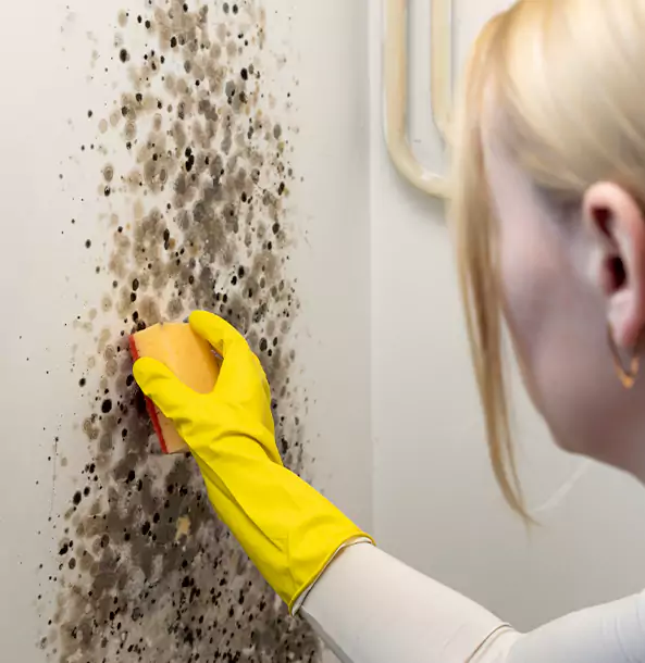 Why Cedartown Restoration Pro Leads Mold Remediation in Cedartown?