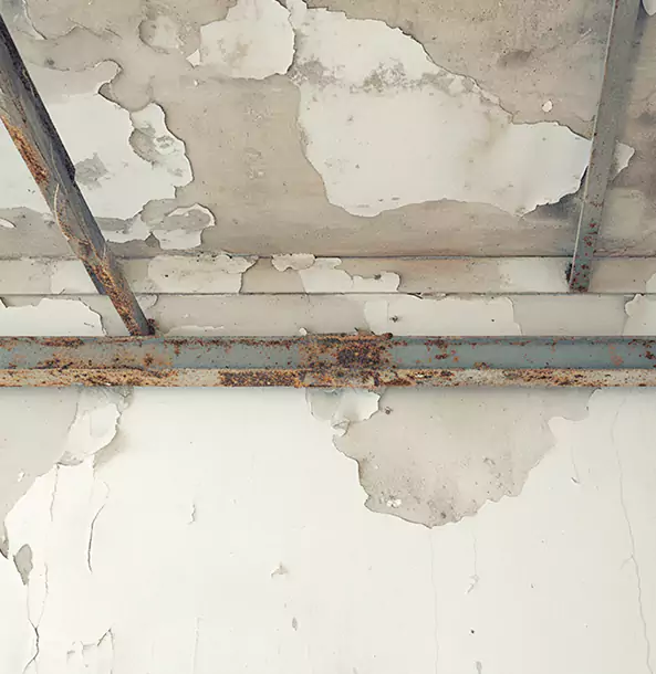 Why Cedartown Restoration Pro Is the Right Choice in Cedartown, GA?