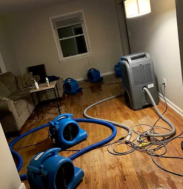 Why Cedartown Property Owners Rely on Cedartown Restoration Pro for Remediation?