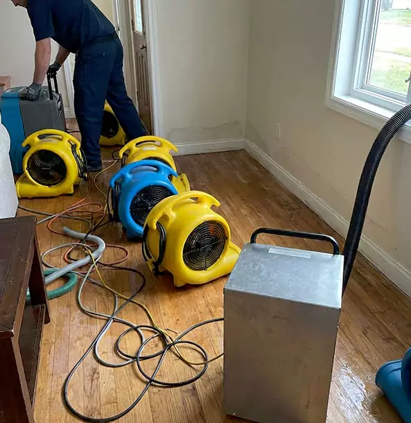 Why Cedartown Property Owners Choose Cedartown Restoration Pro for Remediation?