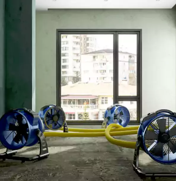 Why Cedartown Property Owners Trust Cedartown Restoration Pro for Water Damage Drying?