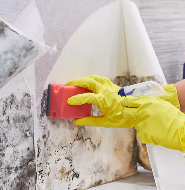 Why Cedartown Trusts Cedartown Restoration Pro for Mold and Water Restoration?