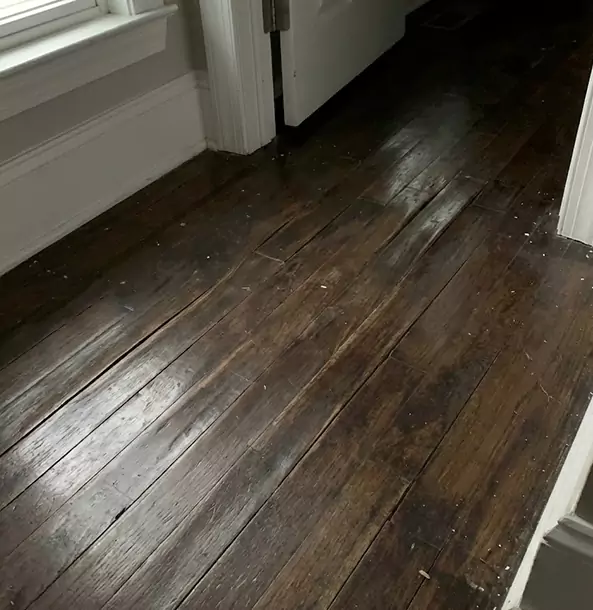 Why Cedartown Homeowners Trust Cedartown Restoration Pro to Fix Water Damaged Wood?