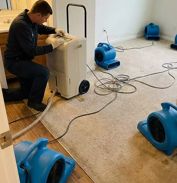 Why Cedartown Homeowners and Businesses Trust Cedartown Restoration Pro for Carpet Drying?