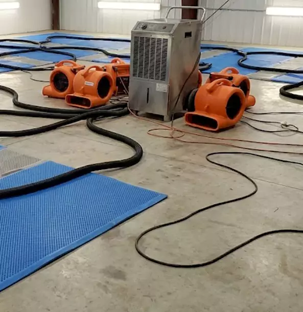 Why Cedartown Homeowners and Businesses Choose Cedartown Restoration Pro for Wet Carpet Removal?