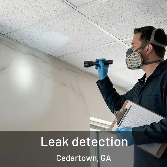  Leak detection Cedartown, GA