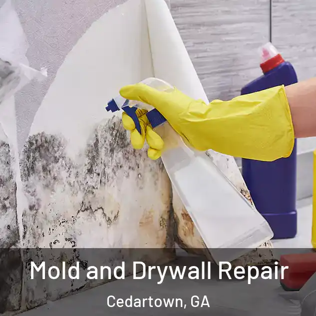  Mold and Drywall Repair Cedartown, GA