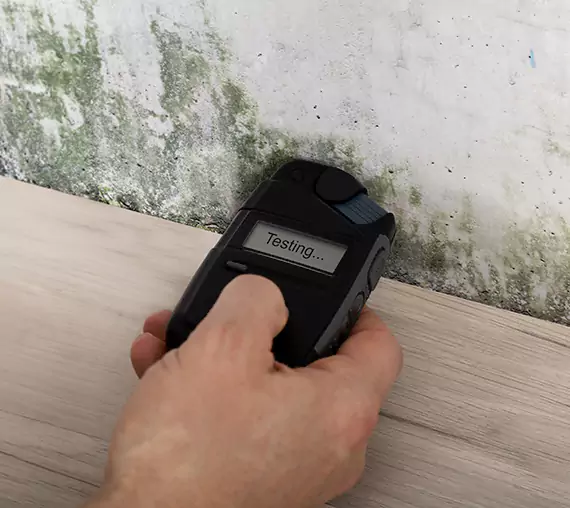 Mold Remediation Service Cedartown