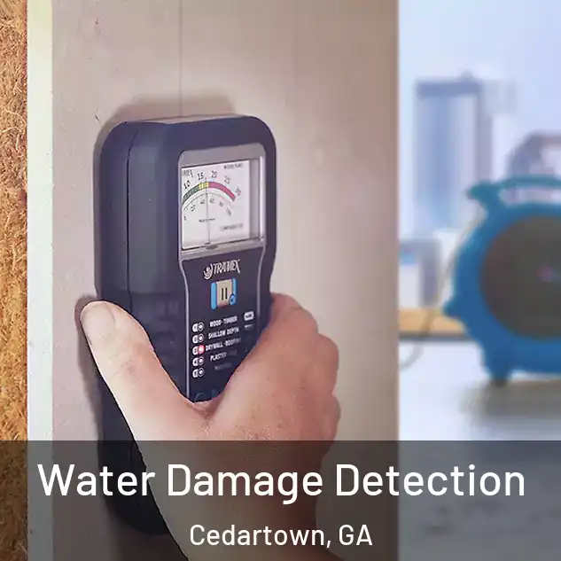  Water Damage Detection Cedartown, GA