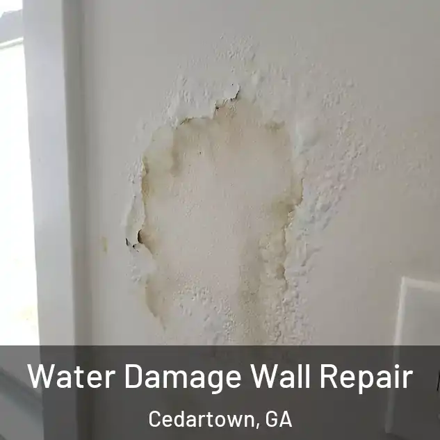  Water Damage Wall Repair Cedartown, GA
