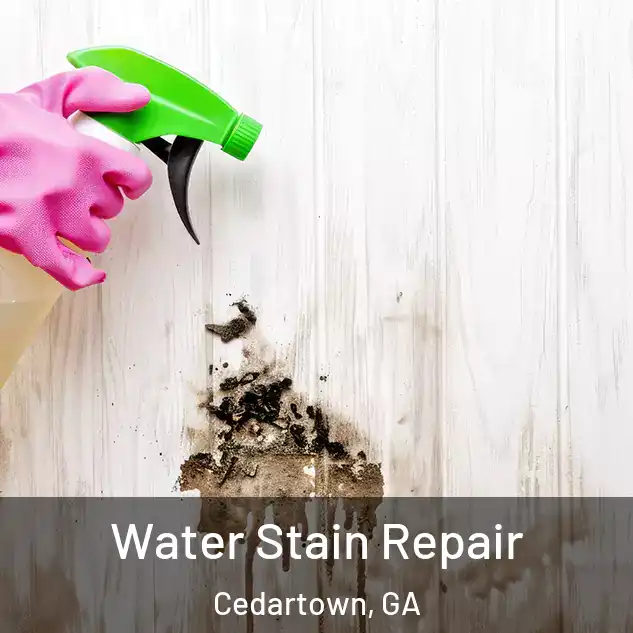  Water Stain Repair Cedartown, GA