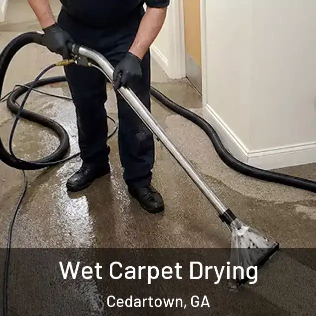  Wet Carpet Drying Cedartown, GA